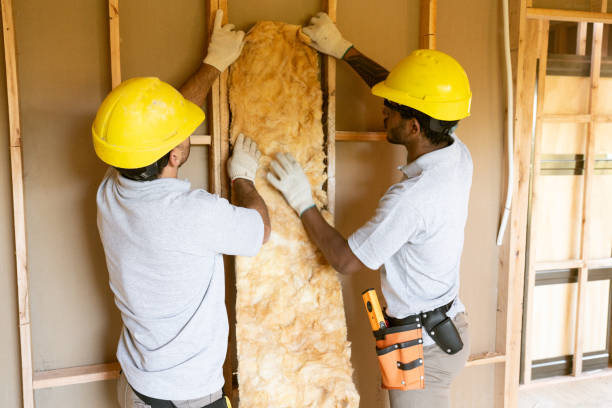 Reflective Insulation in Pine Canyon, CA